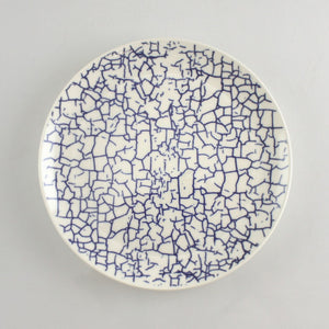 Redesigned Medalta "Cracked Earth" Plate